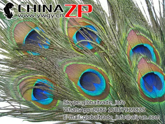 50 шт./Лот длина 25-30 см | Дом и сад