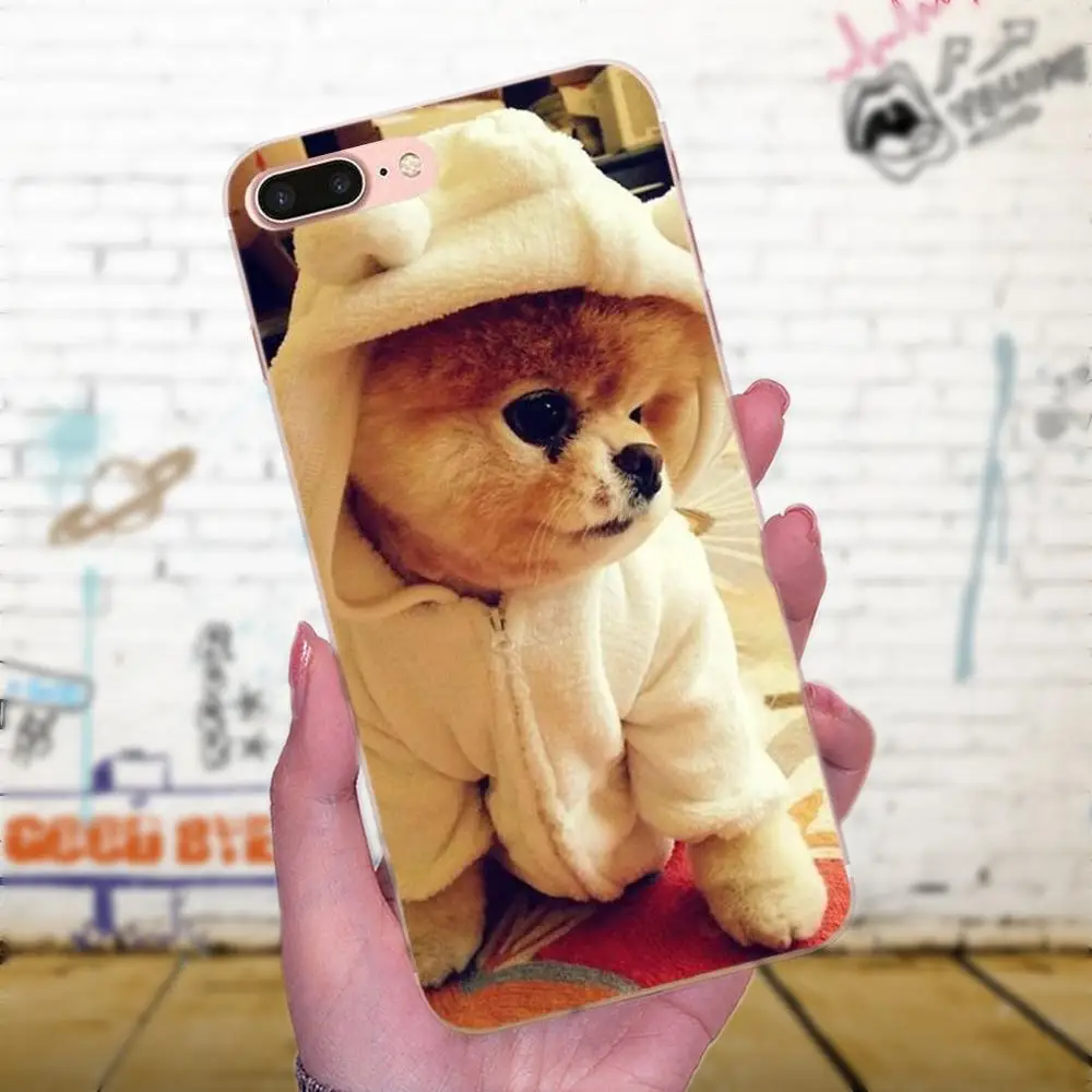 Pomeranian Dog Dogs For Galaxy J1 J2 J3 J330 J4 J5 J6 J7 J730 J8 2015 2016 2017 2018 mini Pro Top Detailed Phone Case | Мобильные