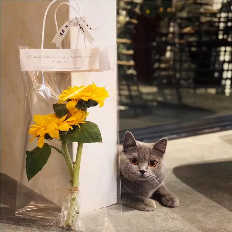 Пластиковые подарочные пакеты из ПВХ 10 шт. для упаковки цветов сумки 15 х4 0 см/25 6