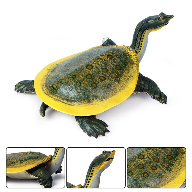 Oenux Lifelike 14x3x8cm Sea Life Animals Soft-shelled Turtle Model Action Figures Classic Educational Toy For Kids Gift | Игрушки и