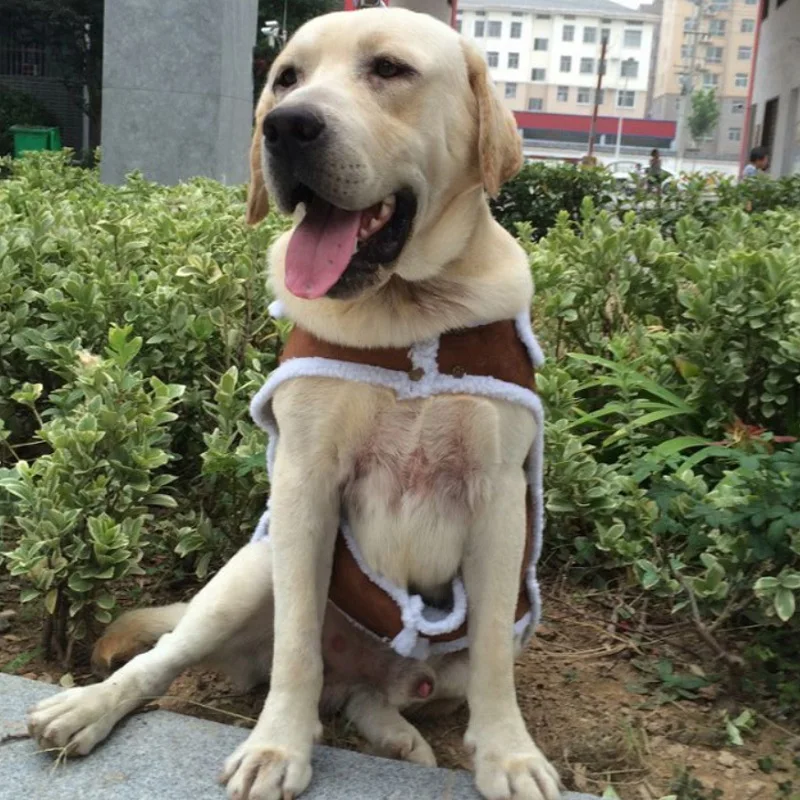 Зимняя куртка для средних и больших собак Вельветовая одежда домашних животных