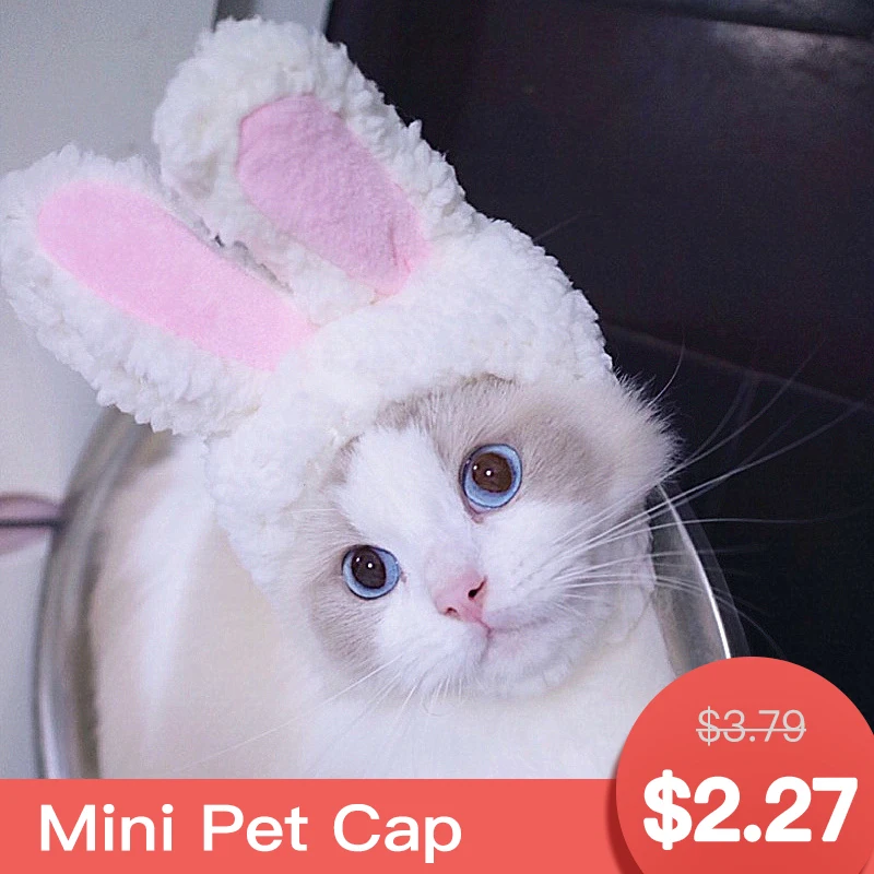 1pc Pet Dog Cat hat cat helmet sombrero hats for cats pet mini puppy cap party gorro gat | Дом и сад