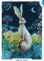 1416182728 gold collection counted cross stitch kit hare by night rabbit bunny rto m611