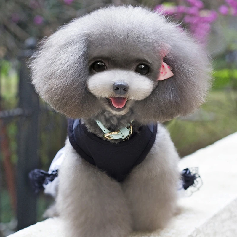 Модное Элегантное роскошное платье со стразами для собак Дизайнерская одежда с