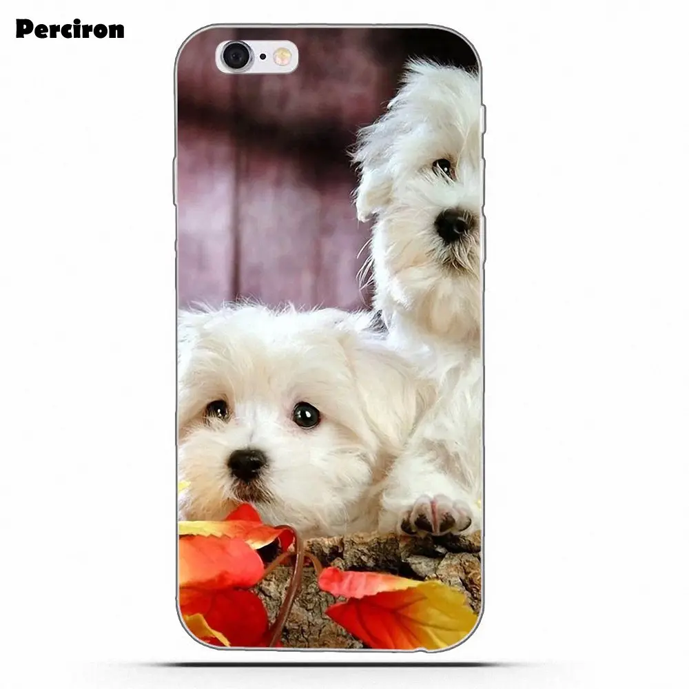 Perciron мягкий чехол для Huawei P7 P8 P9 P10 P20 P30 Lite Mini Plus Pro Мальтийская болонка
