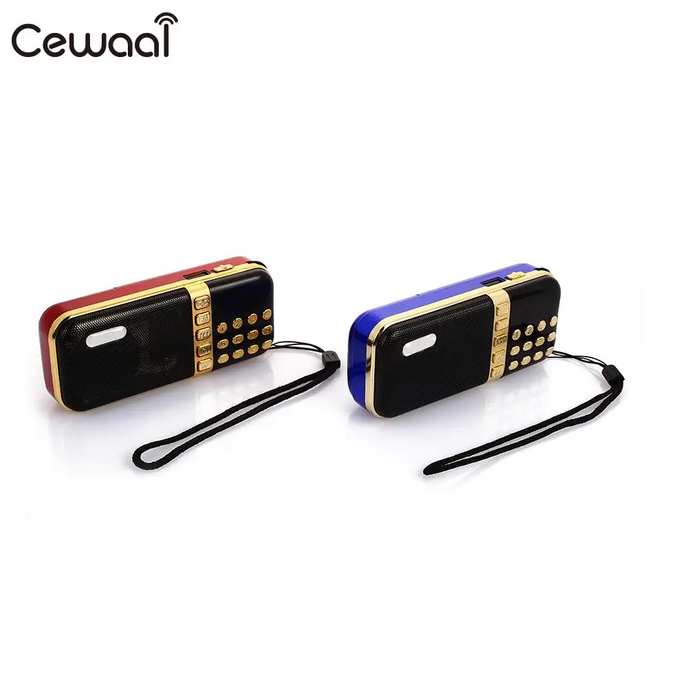 USB Teaching Voice Amplifier FM Raido Support TF Card Guide with Microphone Portable Durable | Электроника