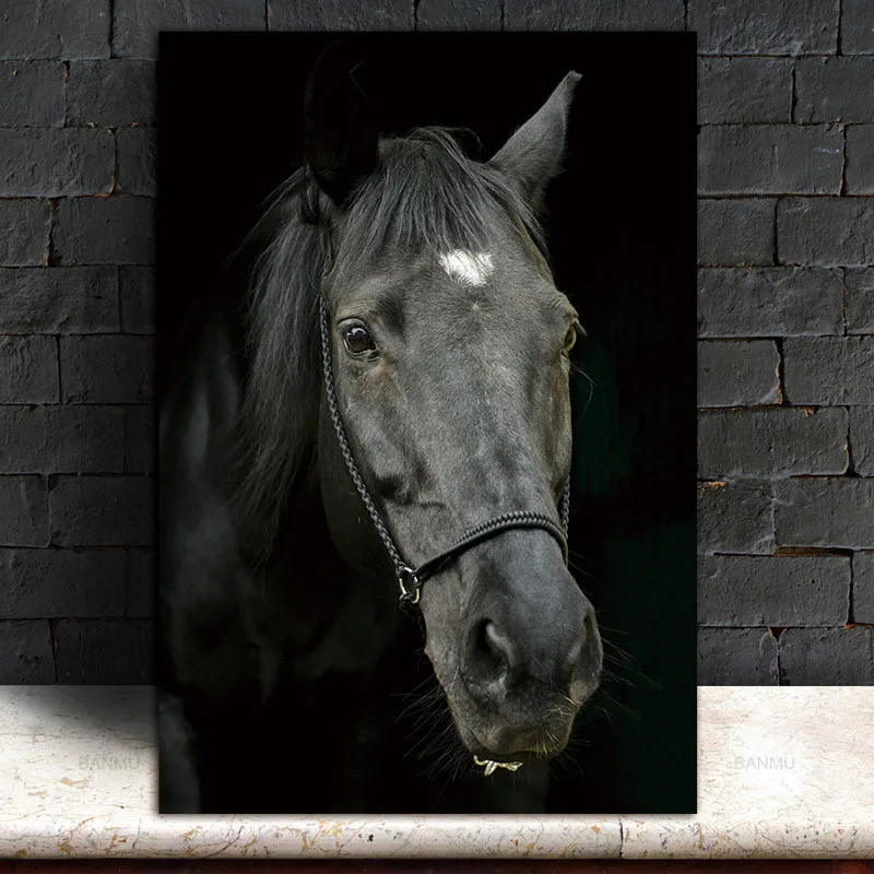 

Picture horse wall painting art canvas Picture decor poster canvas painting Wall art animals art print Wall Picture no frame