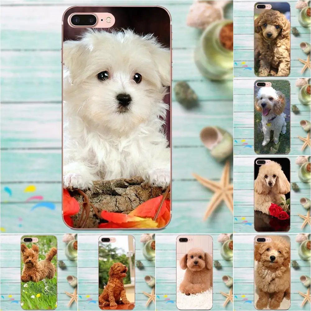 Чехол из ТПУ для Huawei Honor 4C 5A 5C 5X 6 6A 6X 7 7A 7C 7X 8 8C 8S 9 10 10i 20 20i Lite Pro Toy Poodle Dog Puppy | Мобильные