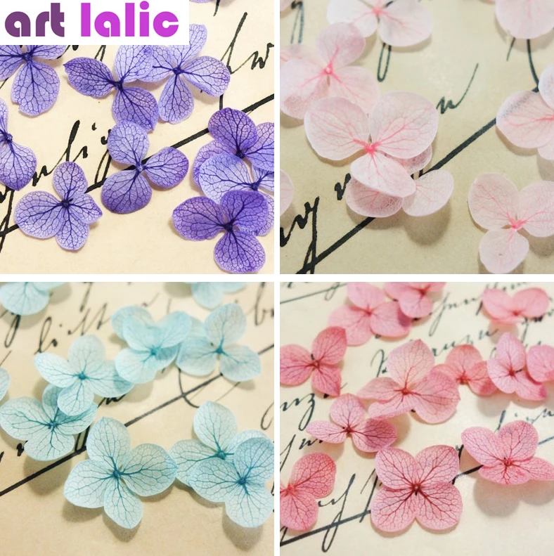 12 видов цветов/коробка 3D дизайн ногтей высушенные цветы украшения DIY настоящие