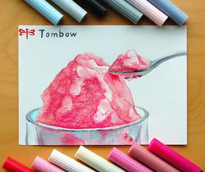 TUNACOCO 1 шт. яркий японский маркер TOMBOW маркеры с двойной головкой цветная мягкая кисть водный ручка