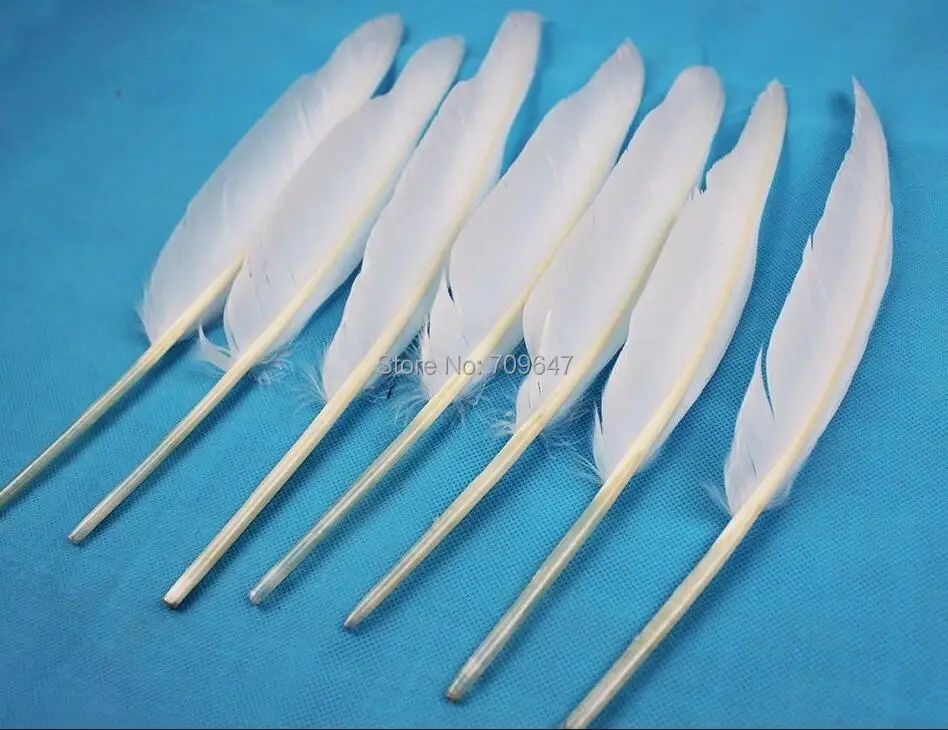 Plumas decoracion!50 шт./лот! Красивые белые гусиные перышки на плече 10-12 дюймов/25-30 см для