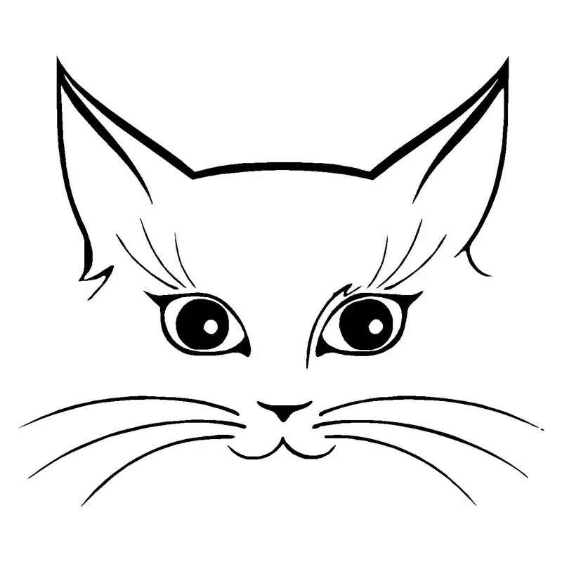 Виниловая наклейка на окно автомобиля 14 х12 см|car sticker|car stickers and decalscar sticker funny |
