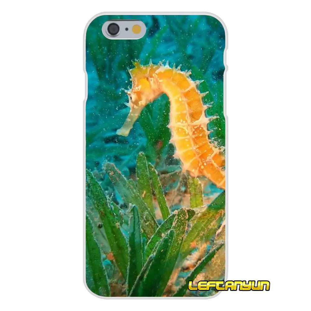 Рисунок морской лошади Радуга для iPhone X 4 4s 5 5S 5C SE 6 S 7 8 Plus Аксессуары чехлы