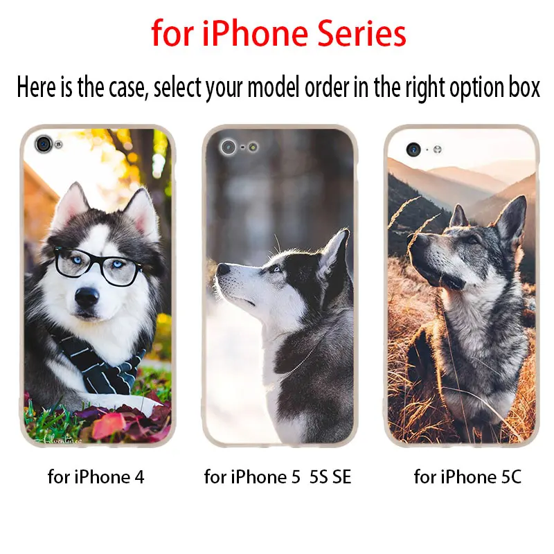 Самоед мягкий чехол для iPhone 12 11 Pro X XS Max XR 8 7 6 Plus 5s SE 2020 S 1 мини Чехол|Бамперы| |