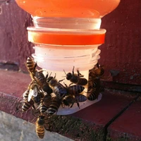 20 pcs beekeeping tools drinking fountain bee queen bee drinking water equipment bee tools