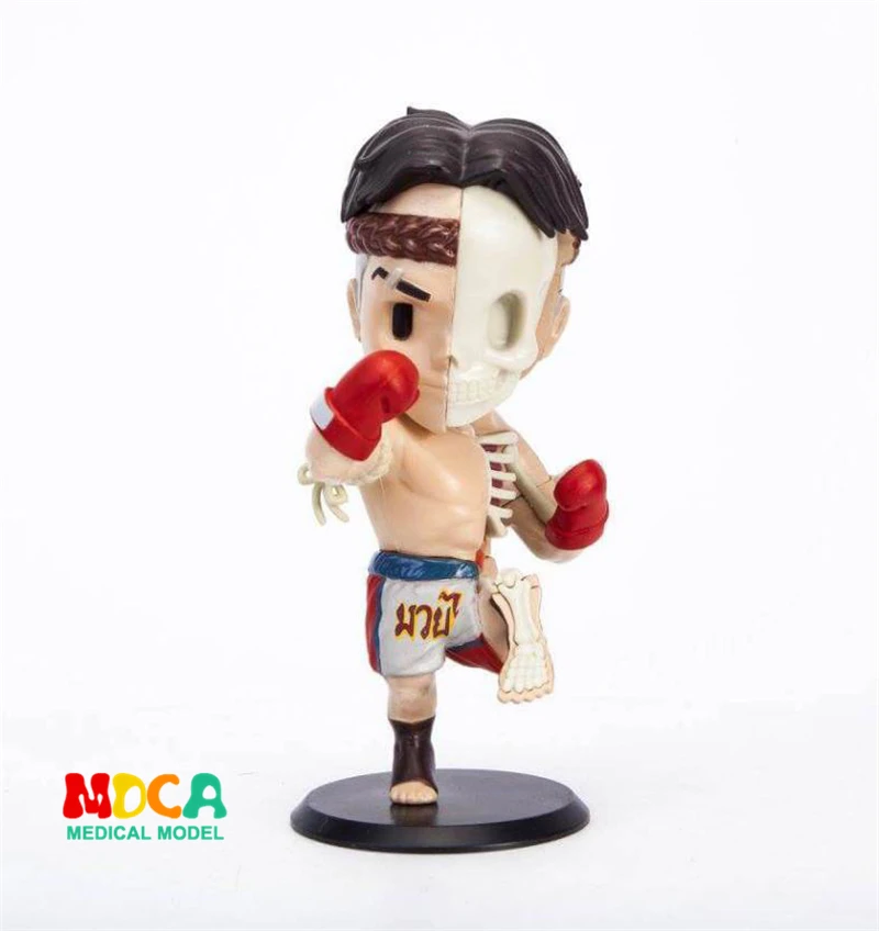 

Red boxer 4D XXRAY master Mighty Jaxx Jason Freeny anatomy Cartoon ornament