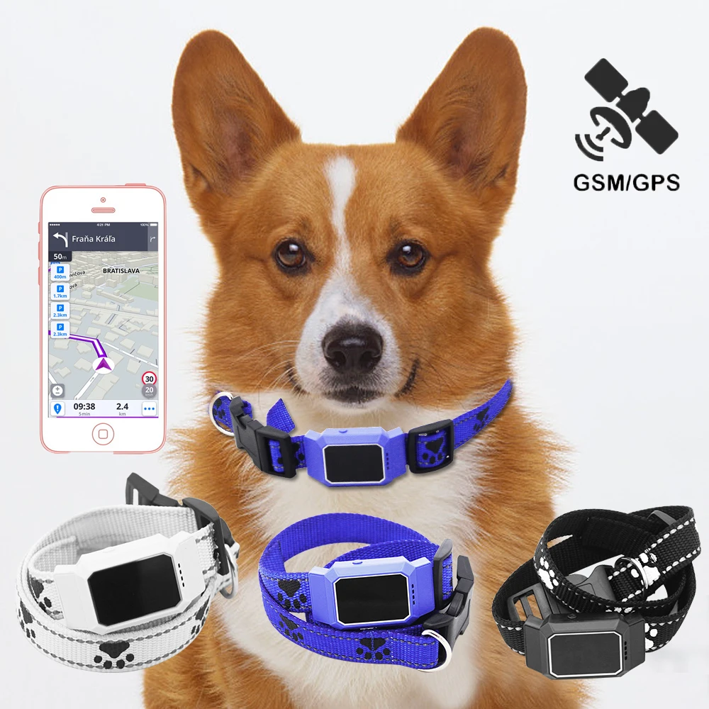 Смарт GPS трекер ошейник для собак водонепроницаемый локатор GSM wifi lbs приложение для домашних животных отслеживающий прибор с сигнализацией анти-потеря Geofence