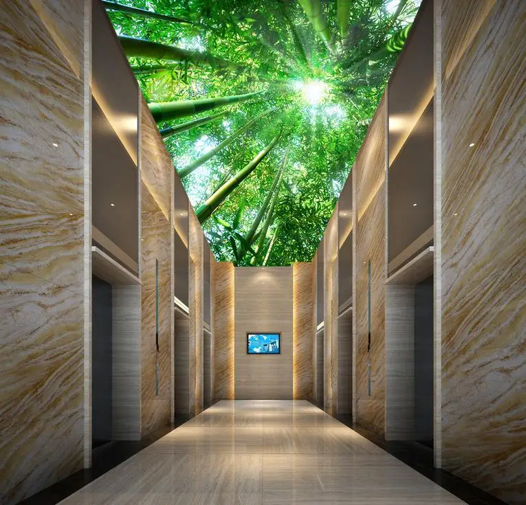 Обои 3d стереоскопические Солнечный свет мечта бамбуковый потолок голубь на