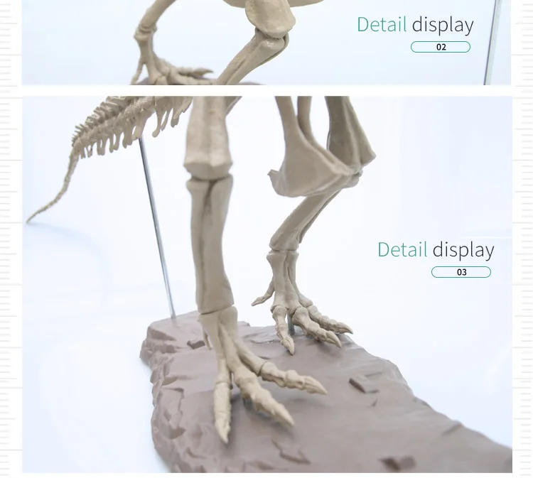 Моделирование 4D собранная модель большой тираннозавр рекс Fossil животная модель Diy обучающие игрушки для детей динозавр модель