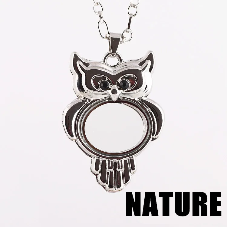 10 шт./лот Сова хрустальный кулон плавающий медальон стеклянный Жилая память с