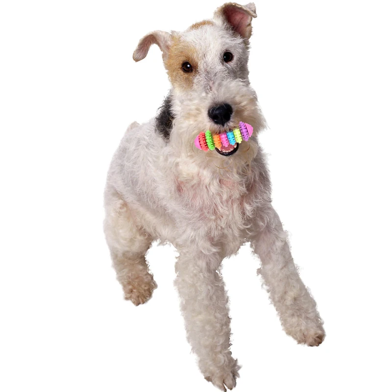 Жевательная игрушка для собак щенков зубных зубов десен устойчивый к укусам Cachorro