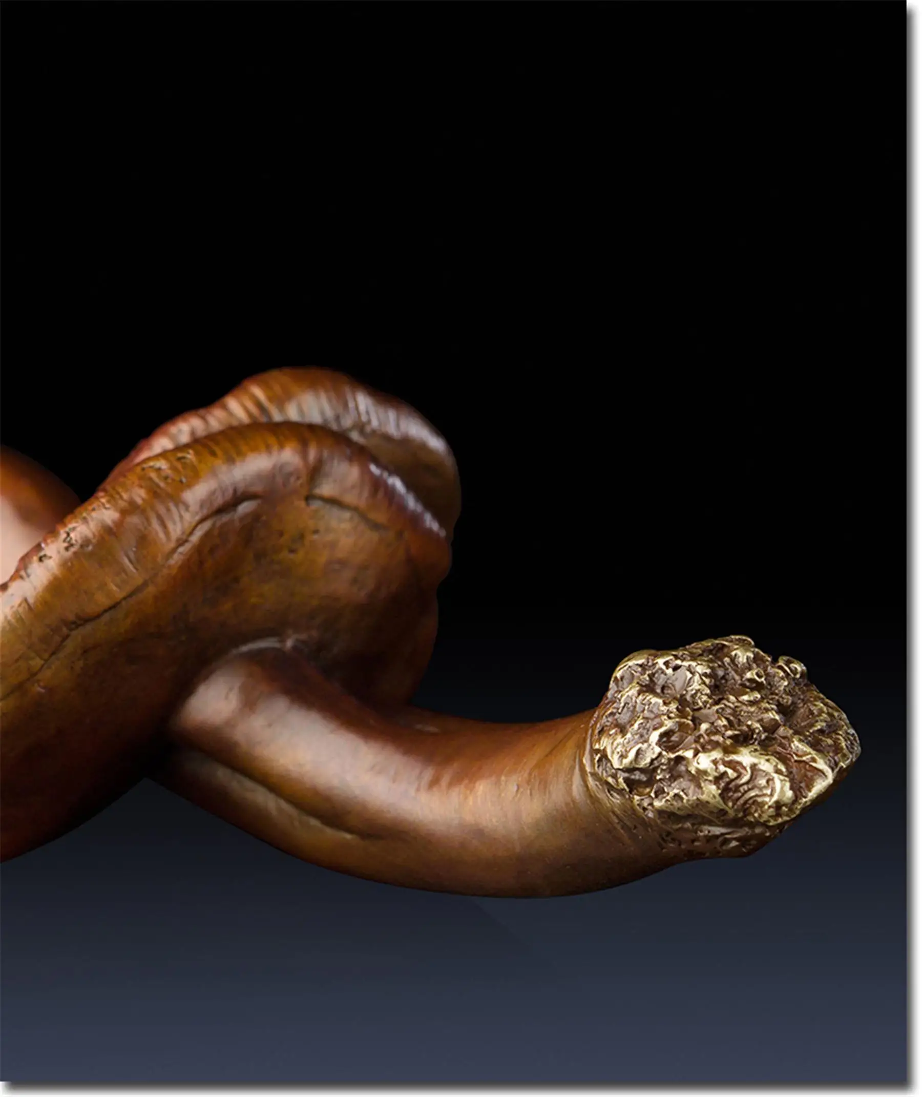 Классическая Ganoderma Lucidum оригинальность ручка декоративно-прикладного искусства
