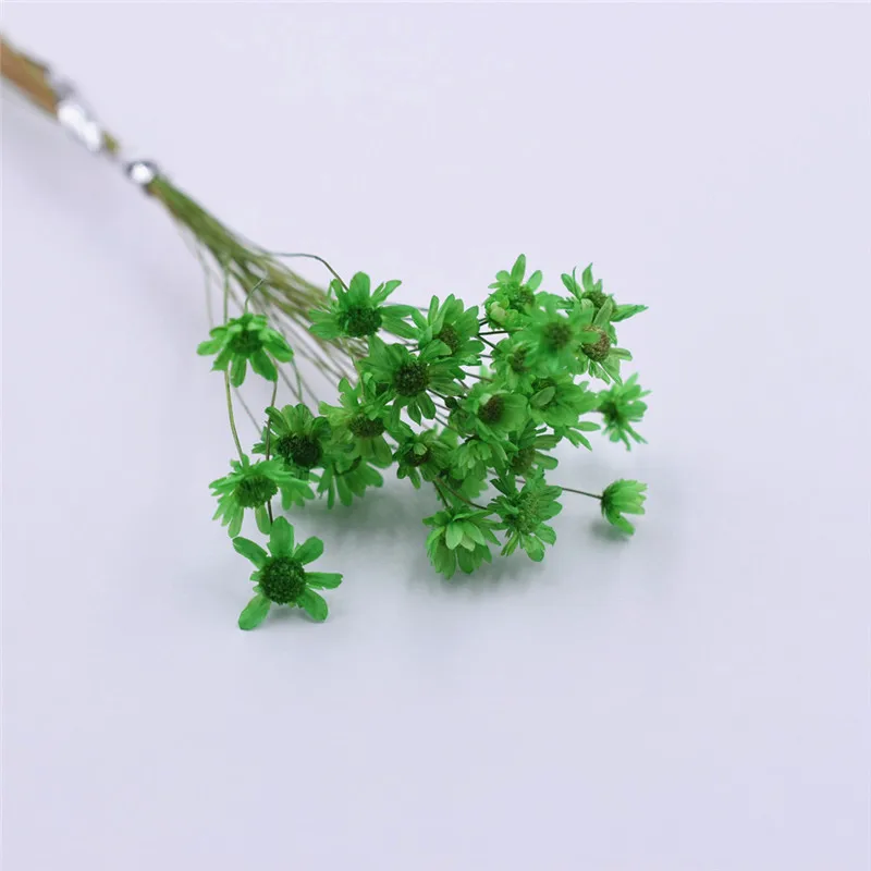 green 30 шт. милая маленькая Маргаритка Натуральные сушеные цветы декоративные изделия стеклянный глобус наполнитель для силиконовой формы ювелирных изделий diy - Цвет: green