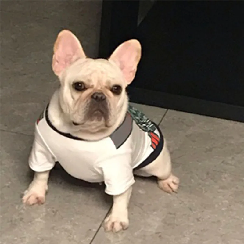 Bichon Frise воздухопроницаемая футболка чихуахуа летнее хлопковое пальто модная