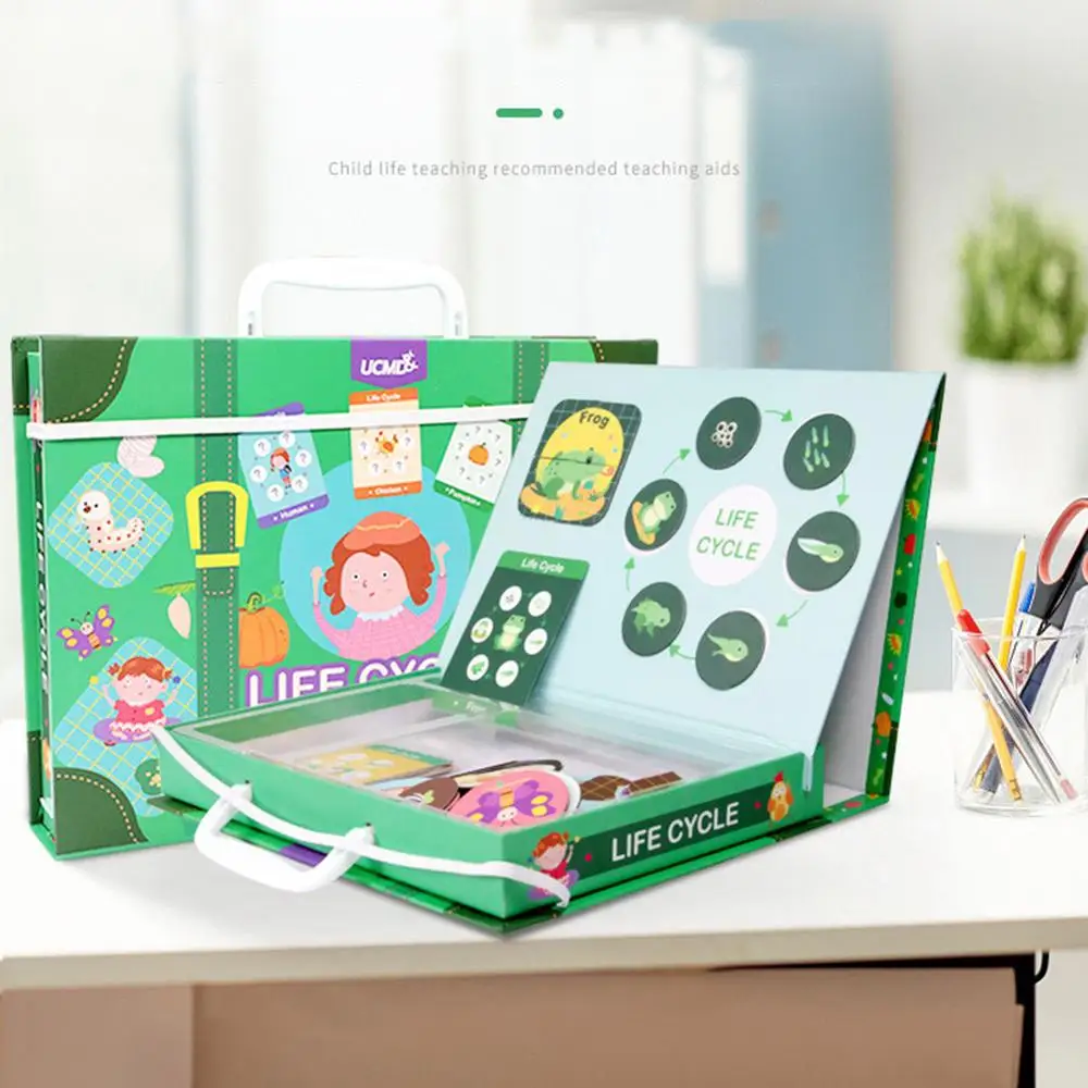 Магнитный жизненный цикл лягушка животные Пазлы ручка живопись доска Дети