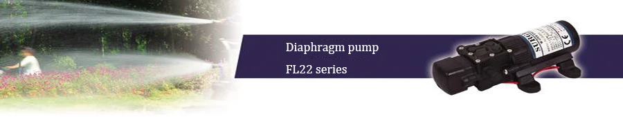 Усилитель воды фонтан FL-2201 12 В высокого давления мембранный насос возвратно-поступательный самовсасывающий RV Yacht Aquario фильтр аксессуары