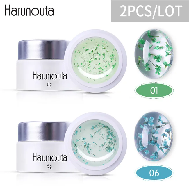 2pcs set5 Harunouta сушеные цветы УФ-гель для ногтей набор Цветочные украшения замочить от ногтей лак наборы лаков Розовый Цвет гель Клей - Цвет: 2pcs set5