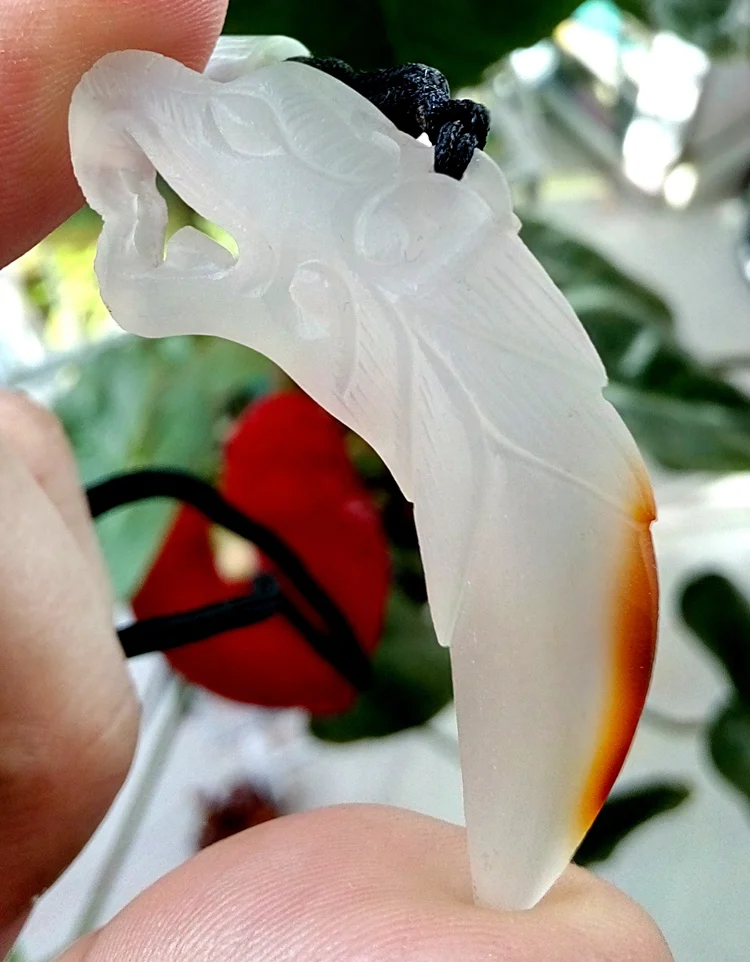 Бесплатная доставка натуральный халцедон голова Волка кулон Волк Зуб Стиль