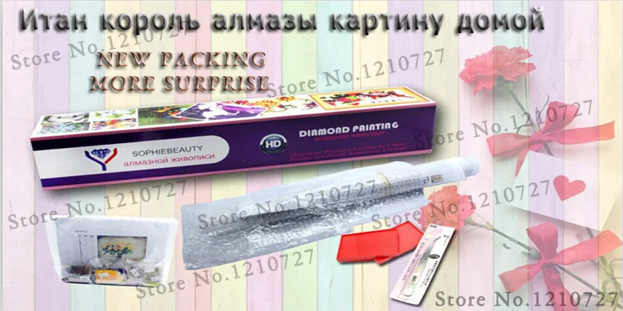 2018 распродажа набор крючков для вышивки Новый Diy алмазная живопись красивый