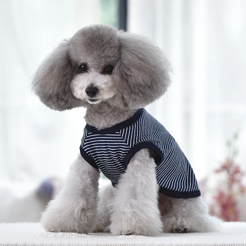 Дилиберто 2019 новый стиль для домашних животных продукт жилет собак полосатая