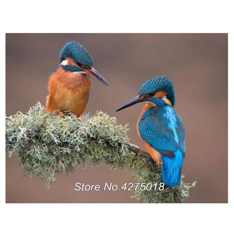 Diy полная дрель квадратная алмазная живопись зимородок фотографии Стразы