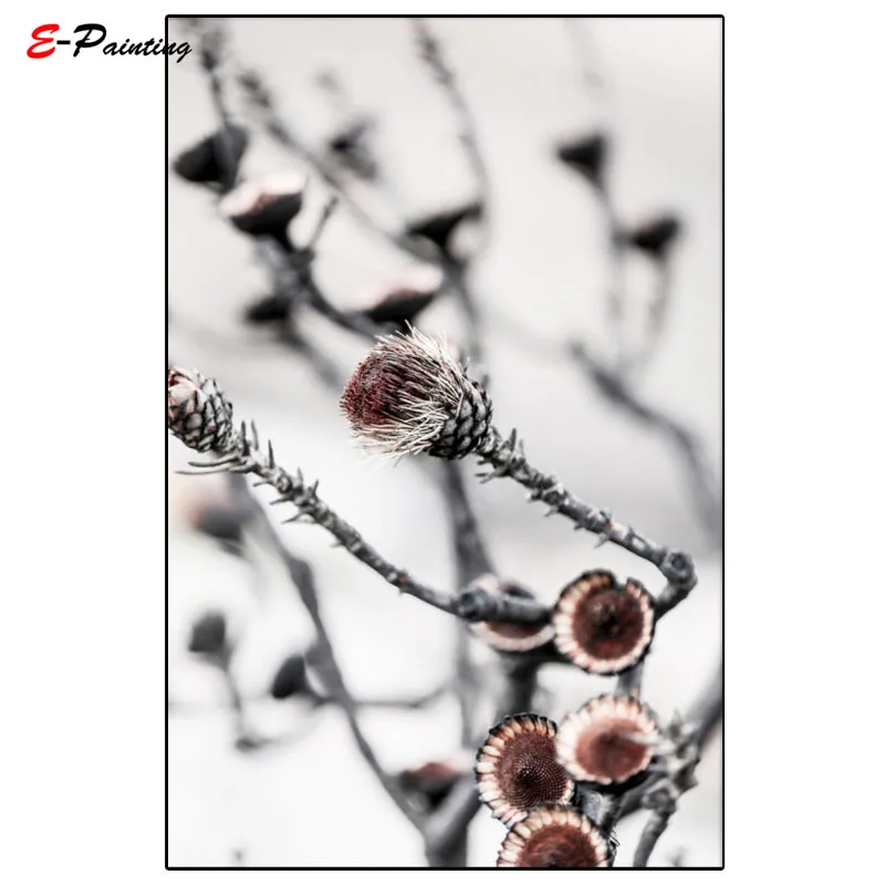 Современная живопись на холсте картина swartберга Protea Tree фотография настенное