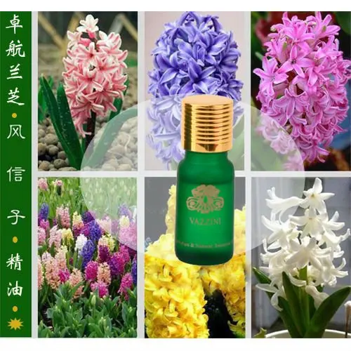 Ваззини 10 мл гиацинт чистое эфирное масло Бесплатная доставка (D20 1)|pure essential