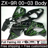 body for kawasaki ninja zx 9r 9 r 900 zx 9r 2000 2001 2002 2003 62hc 14 zx900 900cc zx9 r zx9r 00 01 02 03 green flames fairing