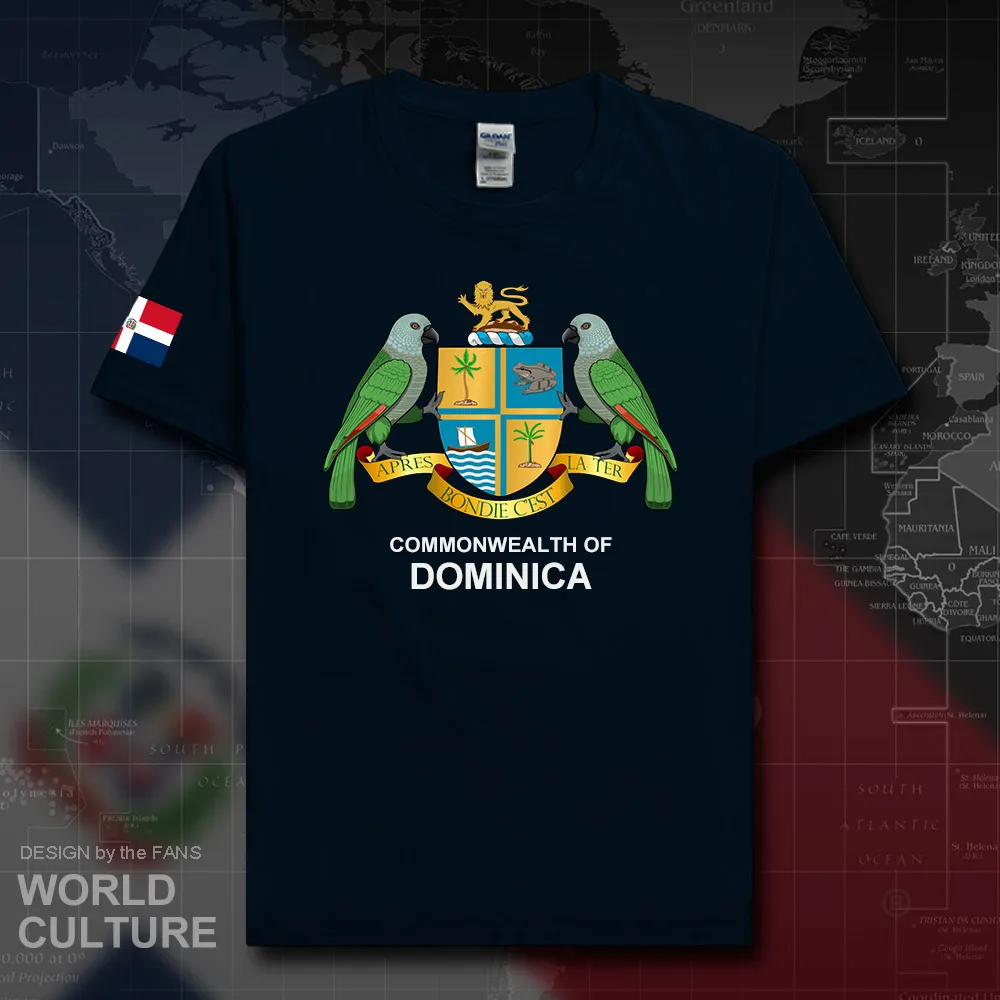 Dominicana DOM Мужская футболка Модные трикотажные изделия национальная команда