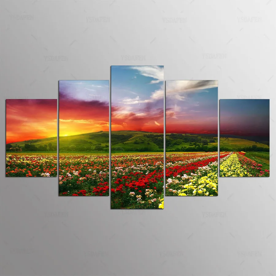 Ysdafen 5 панель HD с живописи цветок поле холсте Home Decor Wall Art картина для гостиной kn-194 |