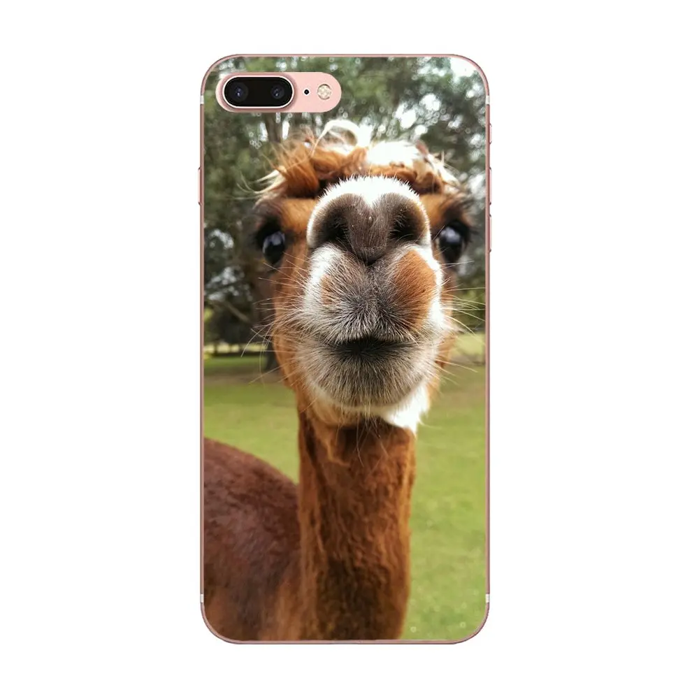 В продаже чехол для телефона Swag милый Llama Alpacas узоры Apple iPhone 4 4S 5 5C 5S SE 6 6S 7 8 Plus X XS Max XR