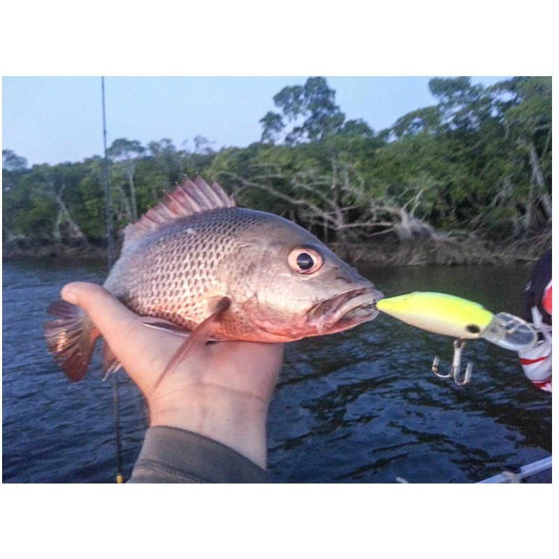 

Tsurinoya 1PC DW32 Crank Fishing Lure 60mm 16g Diving 2.5-3.2M Fishing Hard Lure Crankbait Artificial Bait