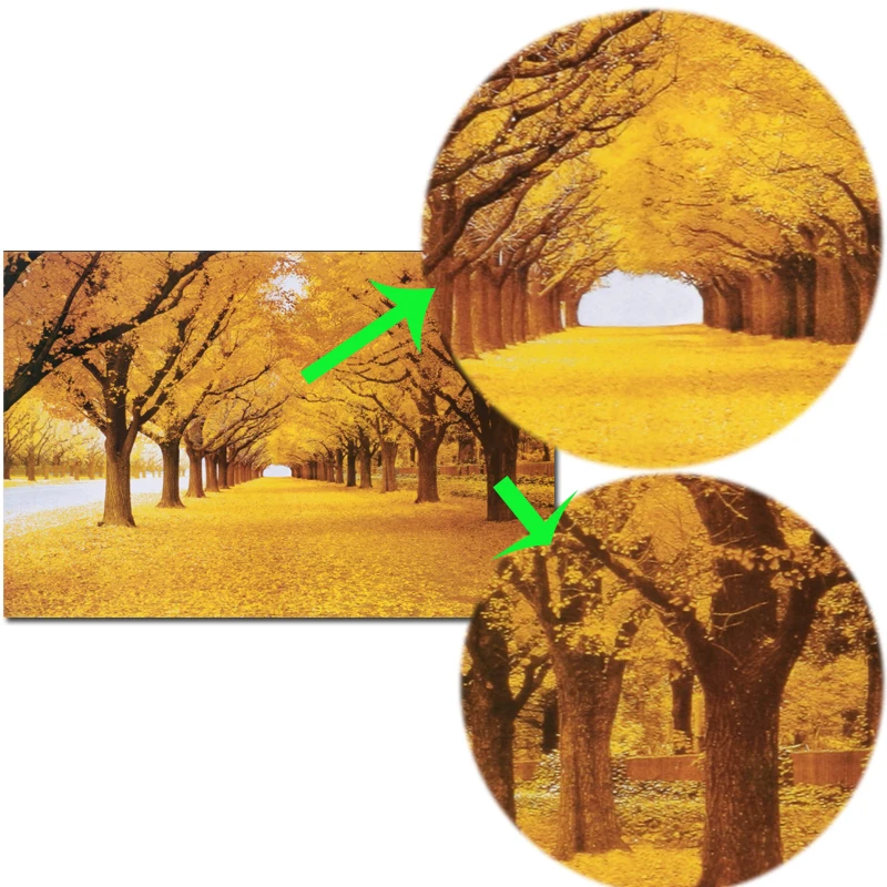 

Modern Golden Trees Landscape Posters and Prints Wall Art Canvas Painting The Golden Road Pictures for Living Room home Decor