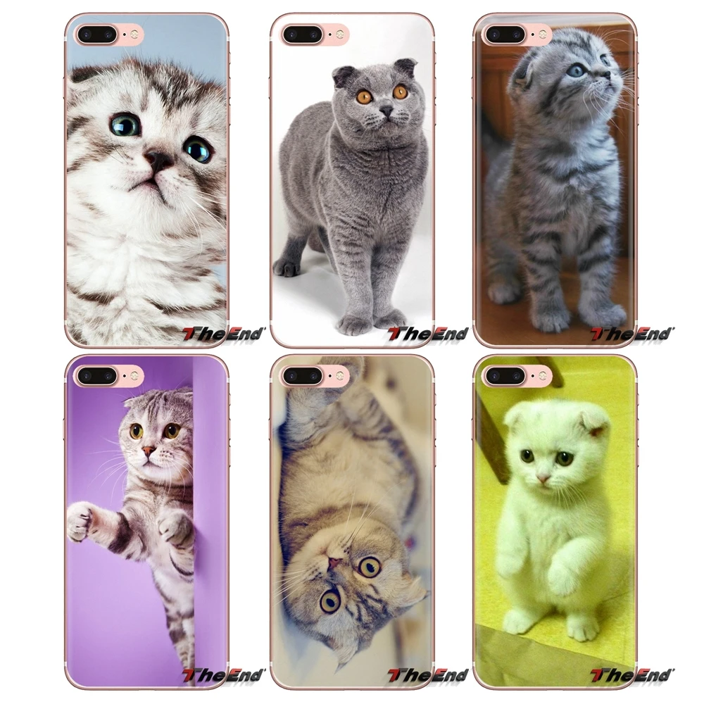 For iPod Touch Apple iPhone 4 4S 5 5S SE 5C 6 6S 7 8 X XR XS Plus MAX Silicone Skin Cover Scottish fold cat Felis catus Scotland |