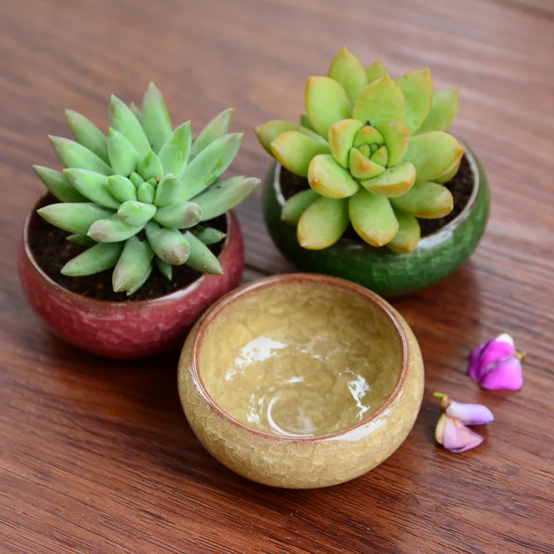 (5 шт. в упаковке) Простой Binglie мини керамические горшки|ceramic square pot|ceramic kitchen door