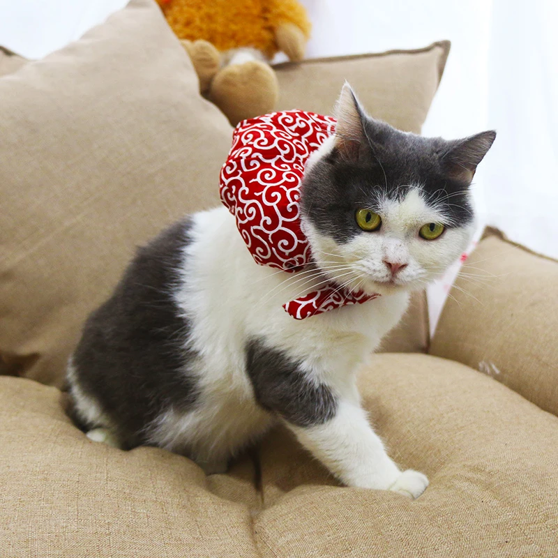 Mum Dad I Will Run Away From Home! Cat Scarf Supplies Lovely Collar Costumes Cats Dog Products Neck Gaiter for Kitten Shiba Inu | Дом и сад