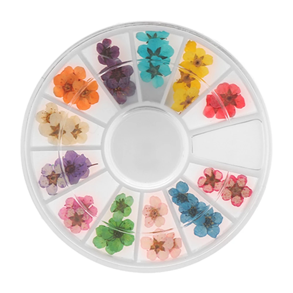 1 коробка настоящие сушеные цветы лист искусство для ногтей украшения красота