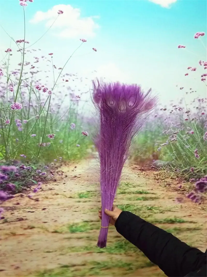 

EMS free shipping 1000pcs32-36 inches / 80-90cm natural peacock feathers, peacock eye DIY accessories