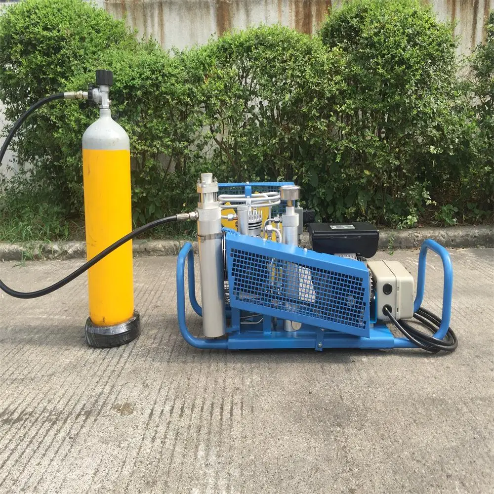 110V60HZ 300bar 4500psi Воздушный компрессор высокого давления для снорклинга