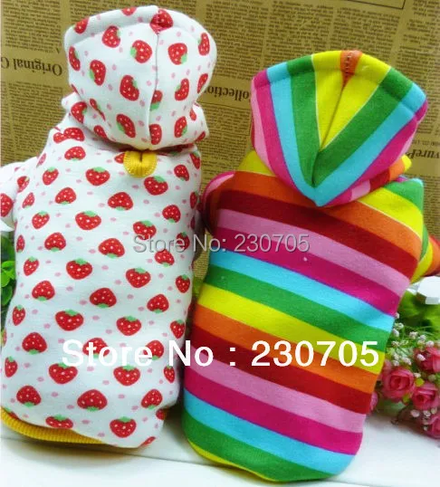 Домашнее животное щенок собака милый одежда тёплый радуга клубника жилет пальто